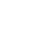Professional Team 